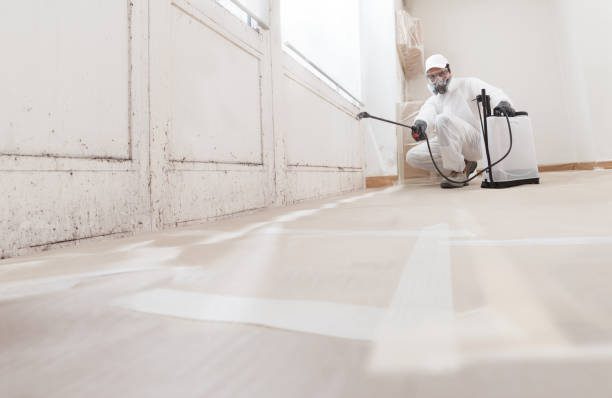 24/7 Emergency Commercial Mold Remediation experts in Caldwell, NJ