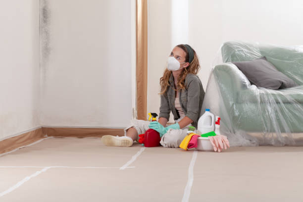 Reliable Commercial Mold Remediation contractor in Caldwell, NJ by WQB Mold Removal