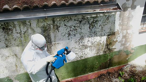 Top rated local Commercial Mold Remediation specialists in Caldwell, NJ